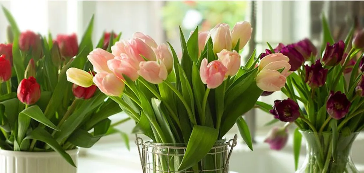 Various types of flowers including roses, lilies, and tulips in separate vases